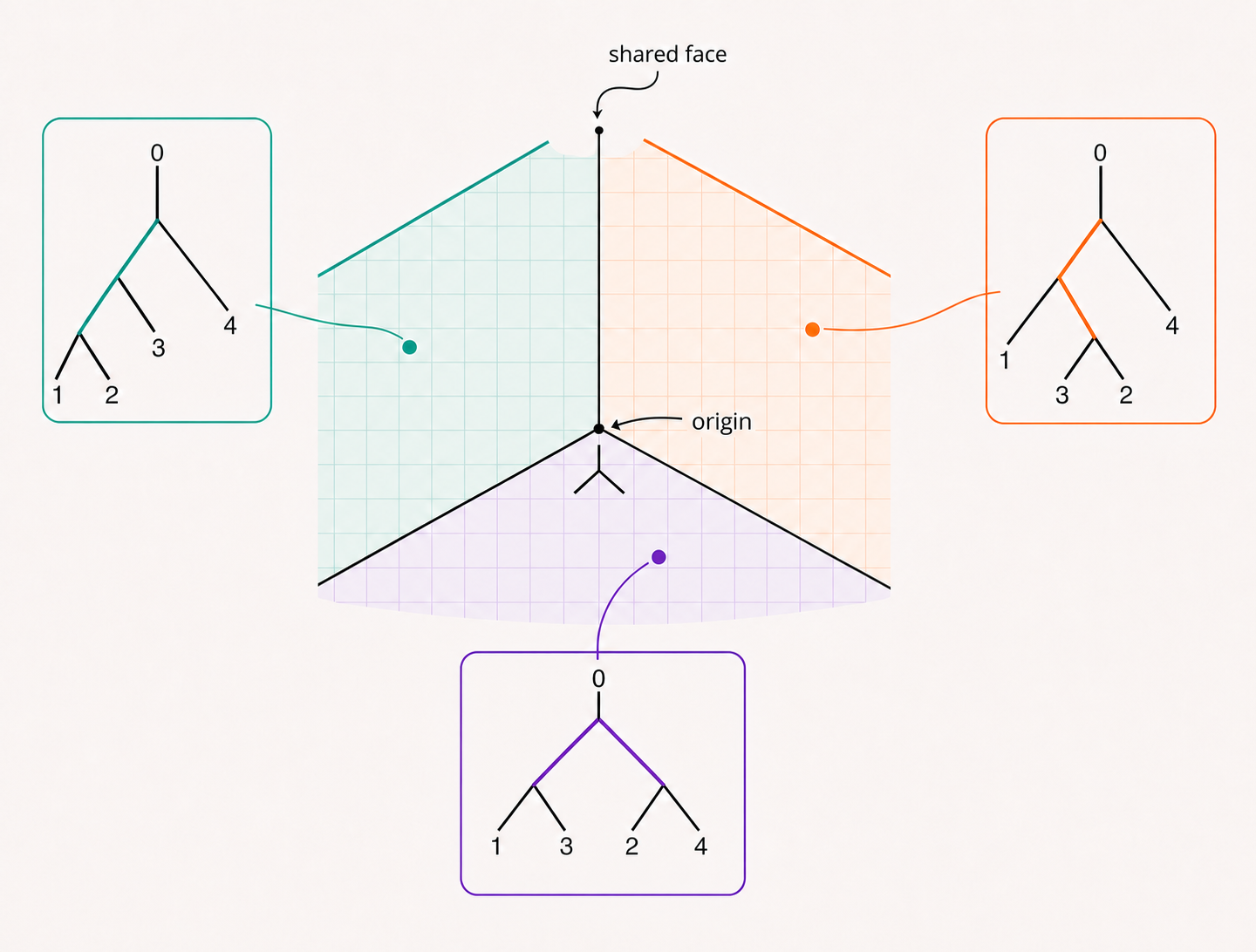 Three gridded BHV orthant sectors glued along boundary faces, with color-matched rooted four-leaf tree topologies connected to sample points in the corresponding orthants.